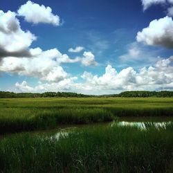 Scenic view of landscape against blue sky