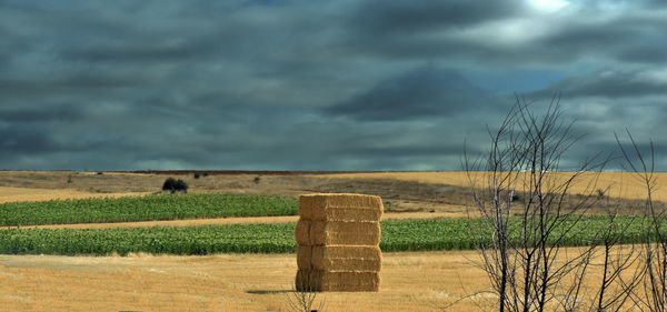 Scenic view of farm against sky