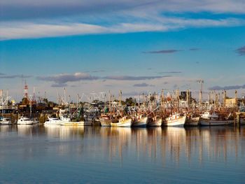 Boats moored at harbor