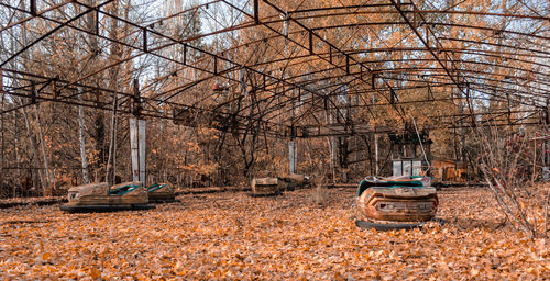 Abandoned car in forest