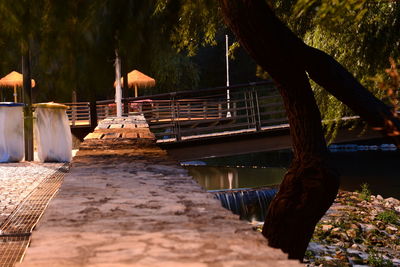 Trees by water