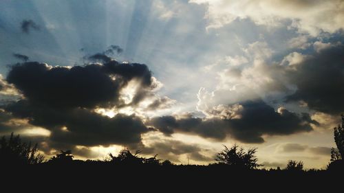 Low angle view of silhouette trees against sky