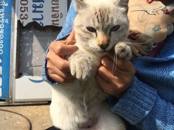 Full length of hand holding cat