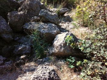 High angle view of rocks