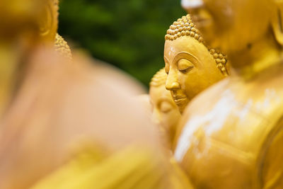 Close-up of buddha statues