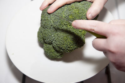 Close-up of person preparing food in plate