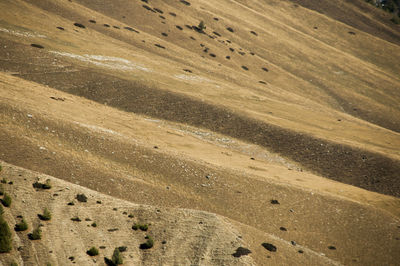 Full frame shot of landscape