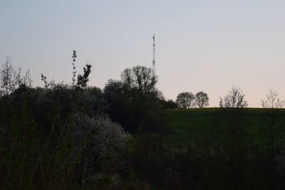 Trees on field against clear sky