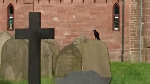 Bird perching on statue against brick wall