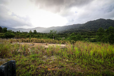 Scenic view of field against sky