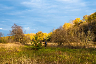 Trees on field against sky during autumn