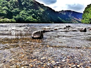 Scenic view of river against sky