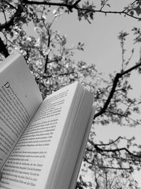 Close-up of open book against trees