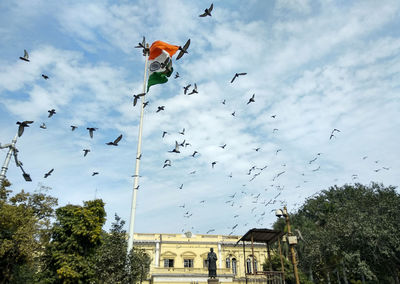 Low angle view of birds flying in sky