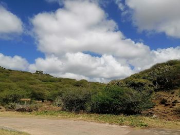 Scenic view of landscape against sky