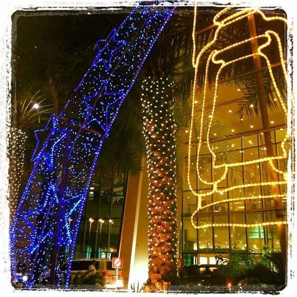 LOW ANGLE VIEW OF ILLUMINATED CHRISTMAS TREE IN CITY