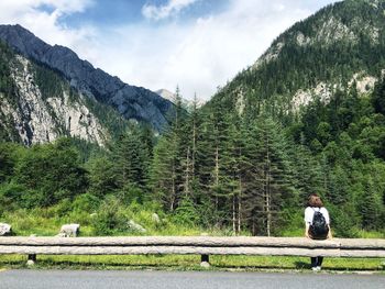 Rear view of man standing by trees in forest