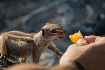 Close-up of person eating food