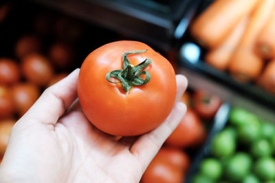 Close-up of person holding tomato