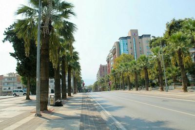 Street amidst palm trees against sky in city