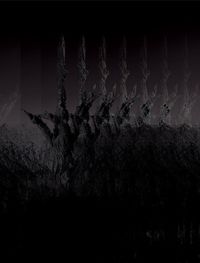 Low angle view of frozen tree against sky at night