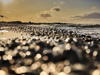 Close-up of pebbles at beach against sky during sunset