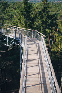 Bridge in forest
