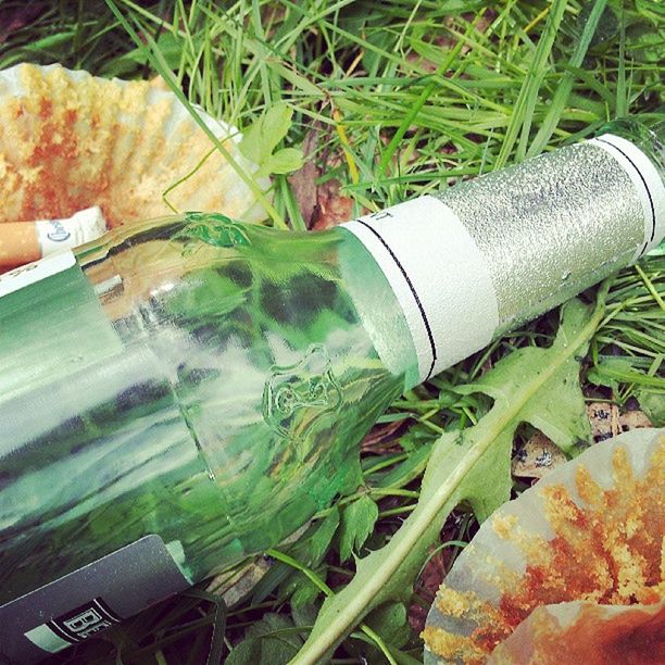 high angle view, green color, close-up, grass, still life, field, food and drink, no people, indoors, freshness, day, plant, bottle, container, growth, equipment, metal, work tool, nature