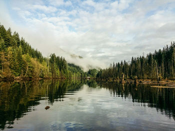 Scenic view of lake by trees against sky