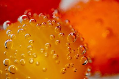 Close-up of bubbles in drink