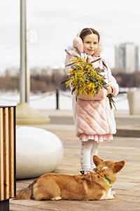 A toddler girl in a coat and fur headphones with a corgi dog in the park. holds a bouquet of mimosa