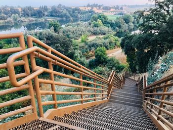 Staircase amidst trees in forest