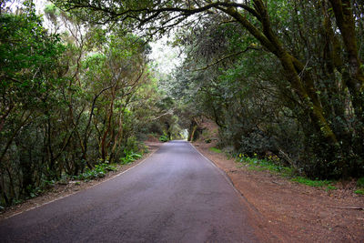 Empty road amidst trees in forest