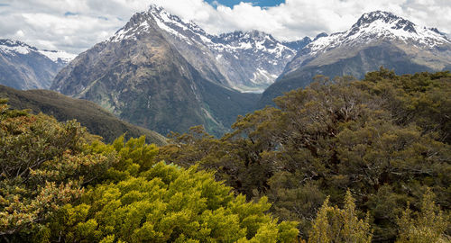 Views on mountain peaks with trees in foreground. shot on routeburn track, new zealand