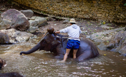 Full length of man riding horse in water