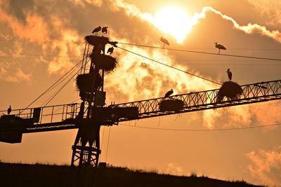 Low angle view of silhouette cranes against sky during sunset