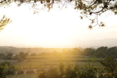 Scenic view of landscape against sky during sunset