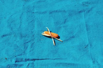 High angle view of leaf on blue wall