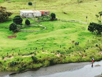 Scenic view of green landscape