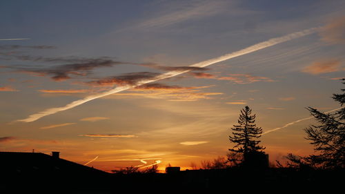 Silhouette trees against sky during sunset