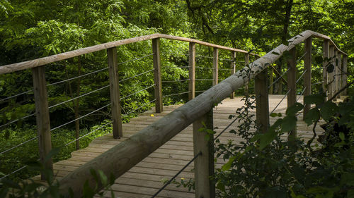 Footbridge on tree