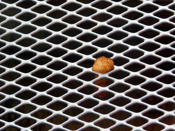 Full frame shot of metal window