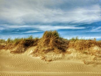 Scenic view of landscape against cloudy sky