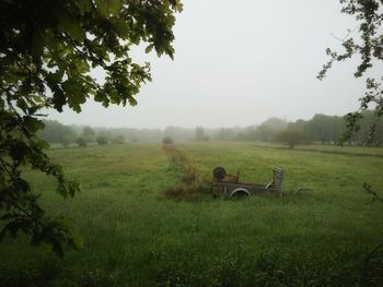 View of foggy meadow and platform