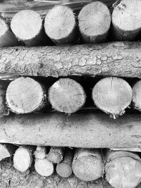 Full frame shot of logs in forest