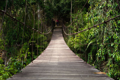 Footbridge amidst trees in forest