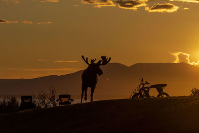 Silhouette people standing on field against sky during sunset