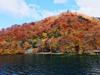 Scenic view of lake by trees during autumn