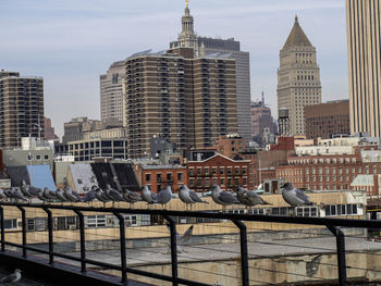 Buildings in city