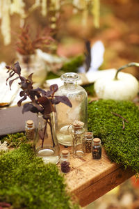 Close-up of food on table